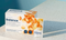 Unicity UNIMATE Lemon Ginger - 30 Pouches